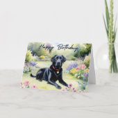 Carte Aquarelle Black Labrador Chien Joyeux anniversaire (Devant)