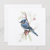 Carte Aquarelle Blue Jay Bird (Devant / Derrière)