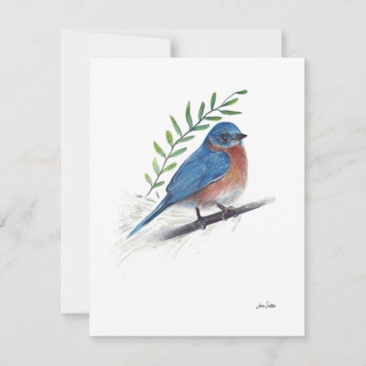 Carte Aquarelle Bluebird (Devant)