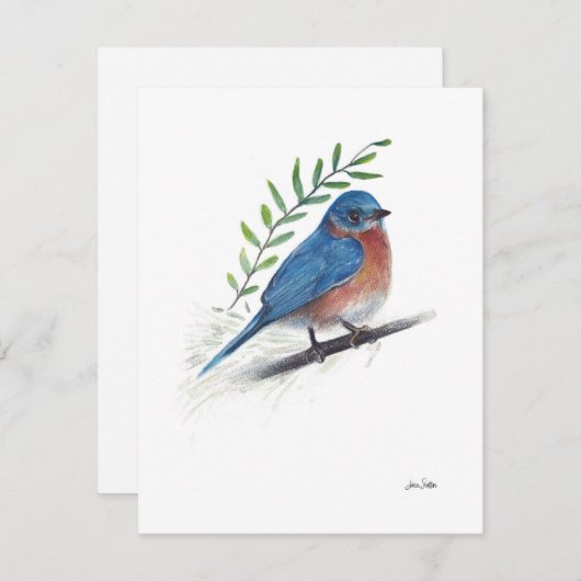 Carte Aquarelle Bluebird (Devant / Derrière)