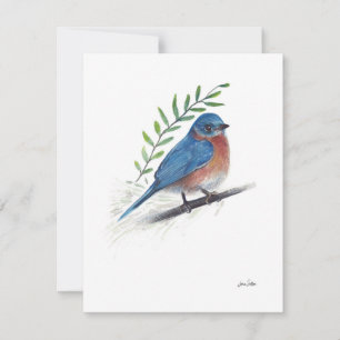 Carte Aquarelle Bluebird