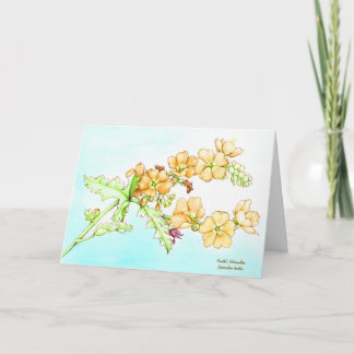 Carte Aquarelle botanique de globemallow sauvage