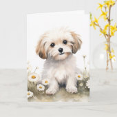 Carte Aquarelle Chien Dans Les Marguerites Pour Annivers (Fleur jaune)