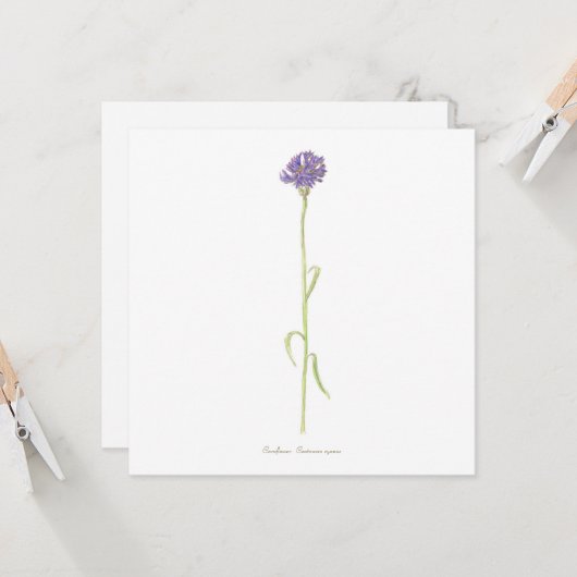 Carte Aquarelle de Cornflower (Devant/Arrière en situation)