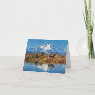 Carte Aquarelle de l'Alaska du parc national de Denali