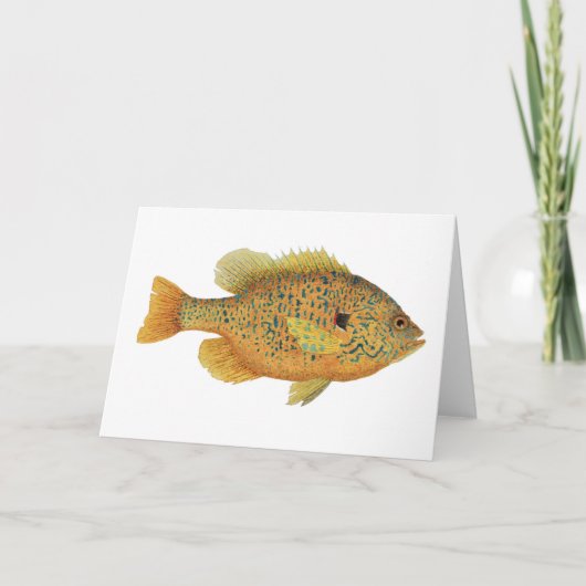 Carte Aquarelle de poisson rouge (Devant)