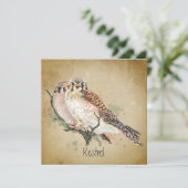 Carte Aquarelle Kestrel Falcon Faune Oiseau Art (Debout devant)