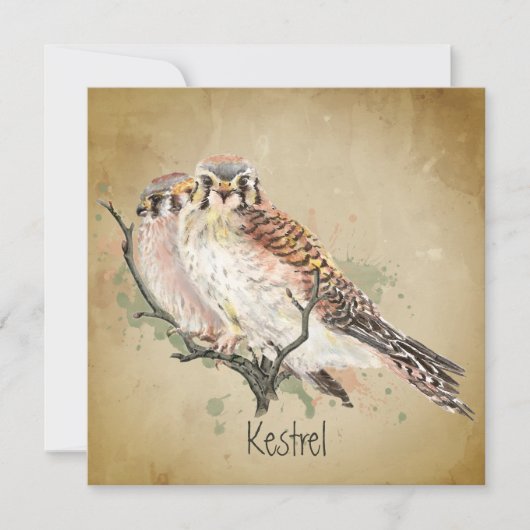 Carte Aquarelle Kestrel Falcon Faune Oiseau Art (Devant)