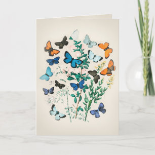 Carte Aquarelle papillon vintage