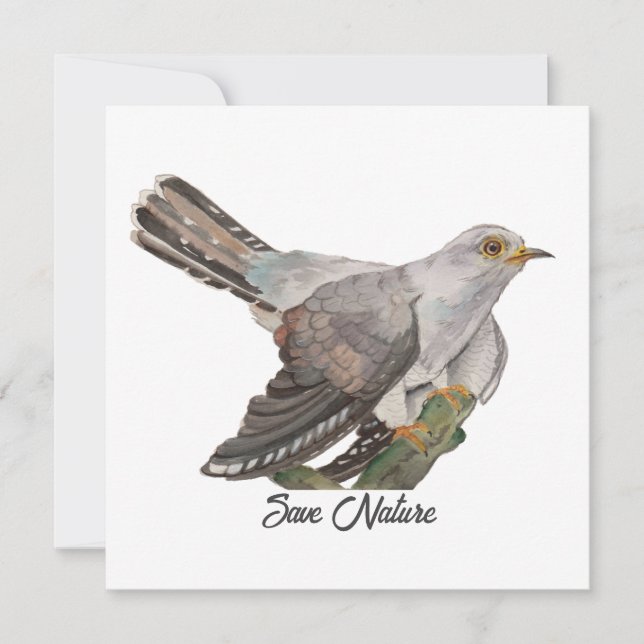 Carte Aquarelle peignant un coucou (Devant)