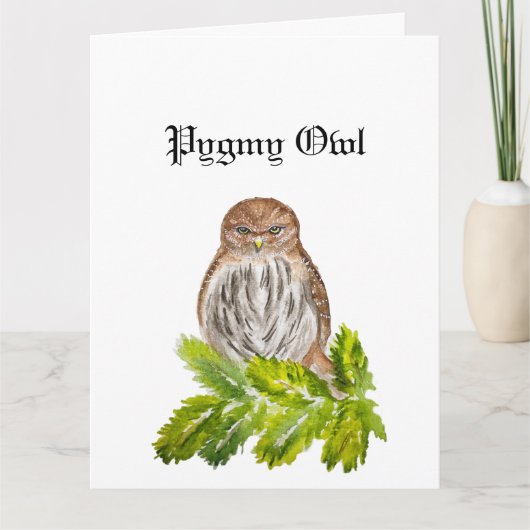 Carte Aquarelle Saw Whet Cute Little Owls (Devant)