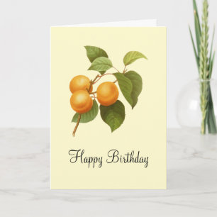 Carte Aquarelle vintage Orange Apricots Anniversaire