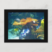 Carte Aquarium (Devant)