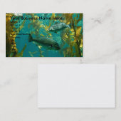 Carte aquatique (Devant / Derrière)