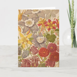 Carte Aquilegia   George Nicholson