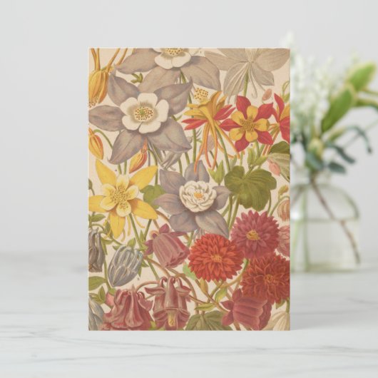 Carte Aquilegia | George Nicholson (Debout devant)