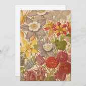 Carte Aquilegia | George Nicholson (Devant / Derrière)