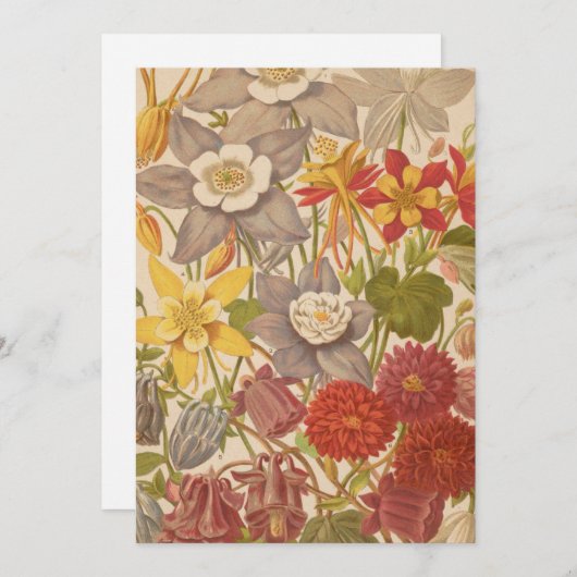 Carte Aquilegia | George Nicholson (Devant / Derrière)