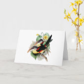 Carte Aracari Bouclé-crêté (Fleur jaune)
