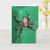 Carte Araignée 7704 - Vertical (Fleur jaune)