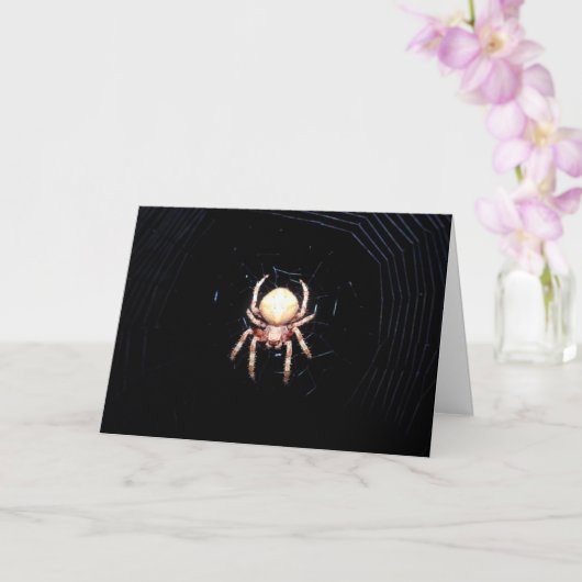 Carte Araignée à roue orange (Orchidée)