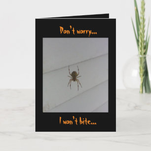 Carte Araignée d'Halloween