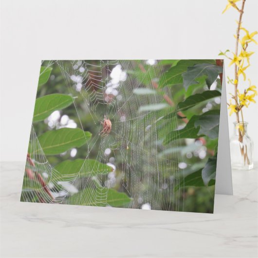 Carte Araignée en attente (Fleur jaune)