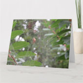 Carte Araignée en attente (Devant)