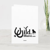 Carte Araignée et chat (Dos)