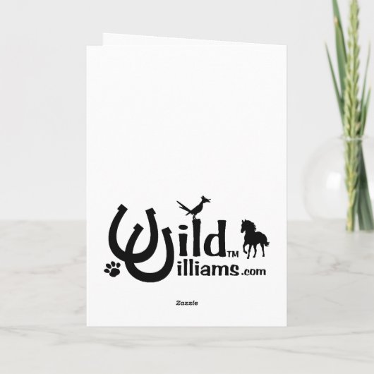 Carte Araignée et chat (Dos)