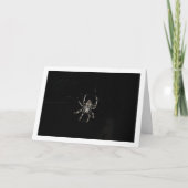 Carte Araignée orbitèle (Devant)