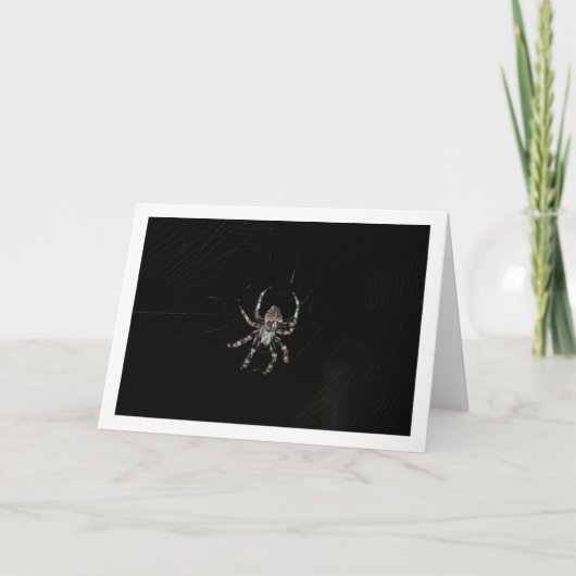 Carte Araignée orbitèle (Devant)