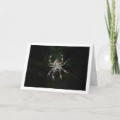 Carte Araignée orbitèle (Devant)