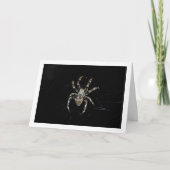 Carte Araignée orbitèle (Devant)