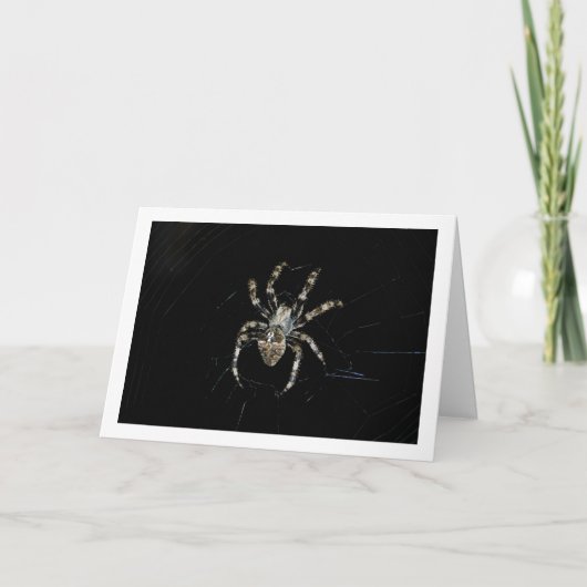 Carte Araignée orbitèle (Devant)