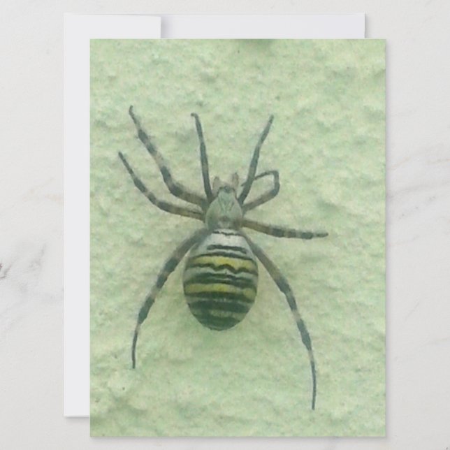 Carte Araignee spider (Devant)