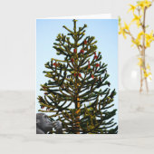 Carte Araucaria du Chili. (Fleur jaune)