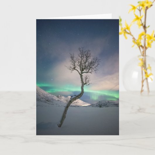 Carte Arborescence boréale (Fleur jaune)