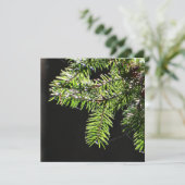 Carte Arbre (Debout devant)