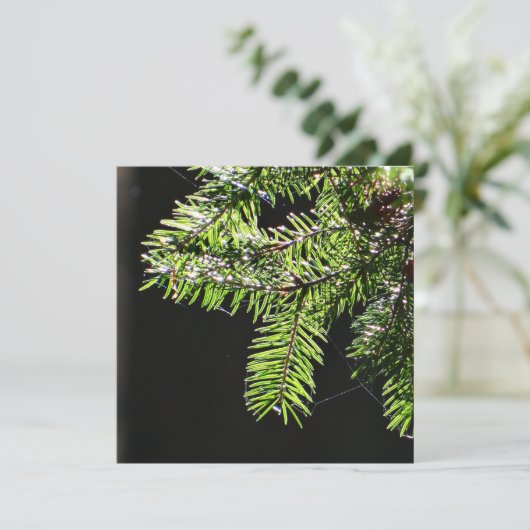 Carte Arbre (Debout devant)