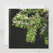 Carte Arbre (Devant)