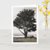 Carte Arbre (Fleur jaune)