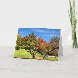 Carte Arbre à érable coloré en automne