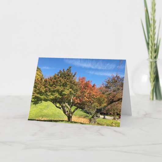 Carte Arbre à érable coloré en automne (Devant)