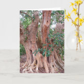 Carte Arbre à fibres sycamore (Fleur jaune)