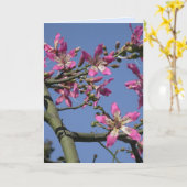 Carte Arbre à fleur de soie (Fleur jaune)