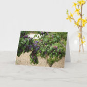 Carte Arbre à prune pourpre (Fleur jaune)