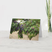 Carte Arbre à prune pourpre (Devant)