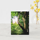 Carte Arbre à vent (Fleur jaune)