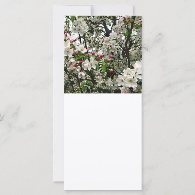 Carte Arbre Apple en fleurs (Devant)